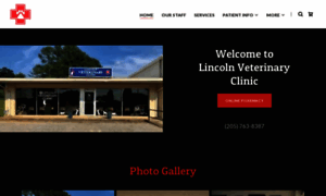 Lincolnvetclinic.com thumbnail