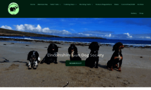 Lincsgundogs.co.uk thumbnail