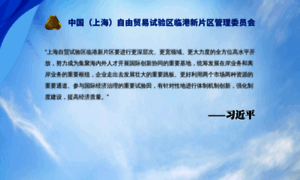 Lingang.gov.cn thumbnail