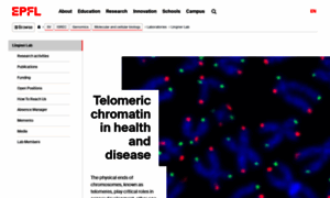 Lingner-lab.epfl.ch thumbnail