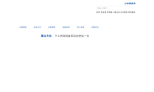 Linyi.sd-n-tax.gov.cn thumbnail