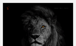 Lionheartco.com thumbnail