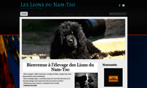 Lionsdunamtso.free.fr thumbnail