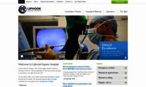 Liphookequinehospital.co.uk thumbnail