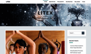 Litex.info thumbnail