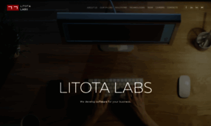 Litota.com thumbnail