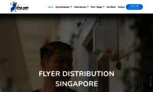 Littleantsflyerdistribution.com.sg thumbnail