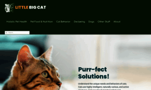 Littlebigcat.com thumbnail