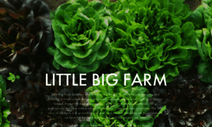 Littlebigcsa.com thumbnail