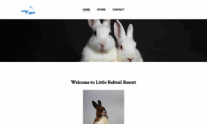 Littlebobtailresort.com thumbnail