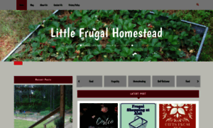 Littlefrugalhomestead.com thumbnail