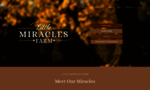 Littlemiraclesfarm.com thumbnail