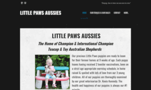 Littlepawsaussies.com thumbnail