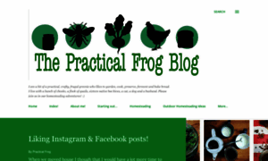 Littlepracticalfrog.blogspot.com thumbnail