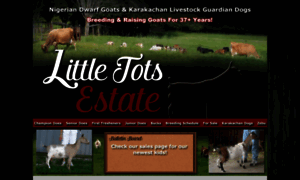 Littletotsestate.com thumbnail