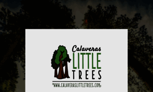 Littletreeswellness.com thumbnail