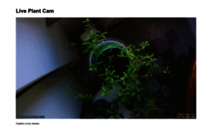 Liveplantcam.com thumbnail