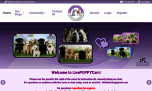 Livepuppycam.com thumbnail