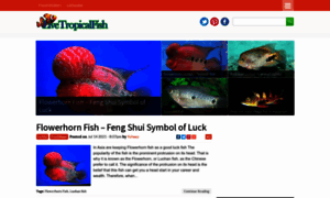 Livetropicalfish.net thumbnail