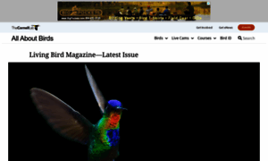 Livingbird.org thumbnail