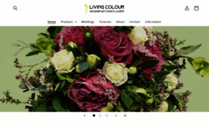 Livingcolour.co.nz thumbnail