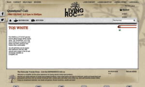 Livingroc.co.uk thumbnail