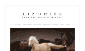 Lizuribephotography.com thumbnail