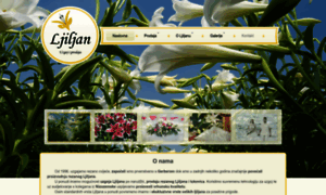 Ljiljan.com.hr thumbnail