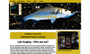 Llynangling.net thumbnail