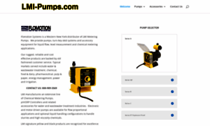 Lmi-pumps.com thumbnail