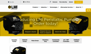 Lmipumps.com thumbnail