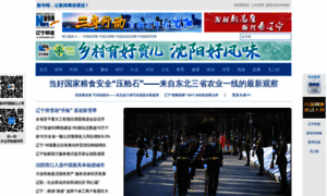 Ln.news.cn thumbnail