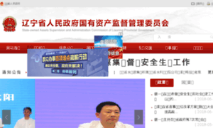 Lngzw.gov.cn thumbnail