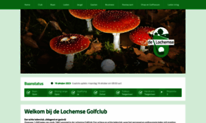 Lochemsegolfclub.nl thumbnail