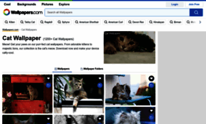 Lolcatpictures.net thumbnail