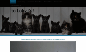 Lolcatscattery.com thumbnail