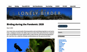 Lonelybirder.org thumbnail