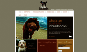 Lonestarlabradoodles.com thumbnail