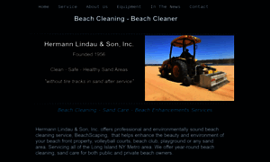 Longislandbeachcleaning.com thumbnail