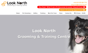 Looknorth.net thumbnail