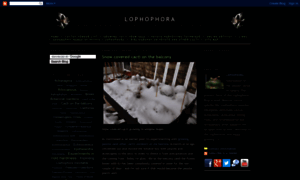 Lophophora.blogspot.com thumbnail