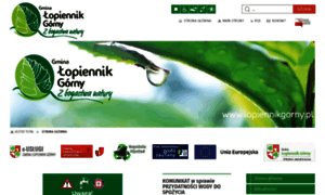 Lopiennikgorny.pl thumbnail