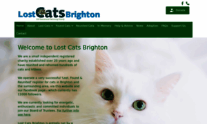 Lostcatsbrighton.org.uk thumbnail