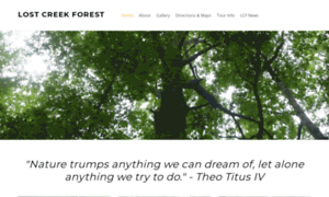 Lostcreekforest.weebly.com thumbnail