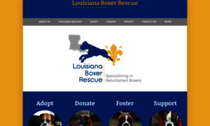 Louisianaboxerrescue.org thumbnail