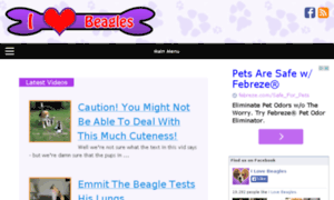 Love-beagles.com thumbnail