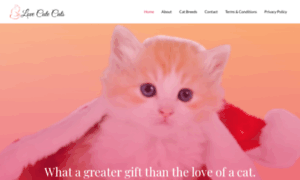 Lovecutecats.com thumbnail