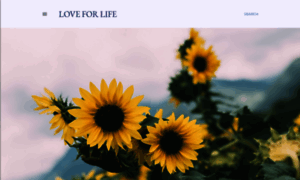 Loveforlife.org thumbnail