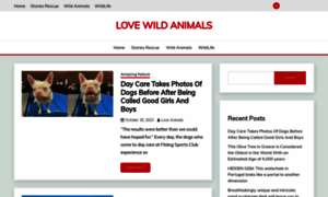 Lovewildanimals.com thumbnail