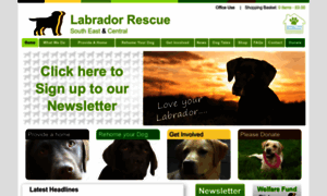 Loveyourlabrador.co.uk thumbnail